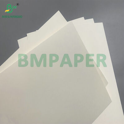 Biodegradowalny i bezpieczny w mikrofalówce karton do tworzenia jednorazowych misek do sałatki