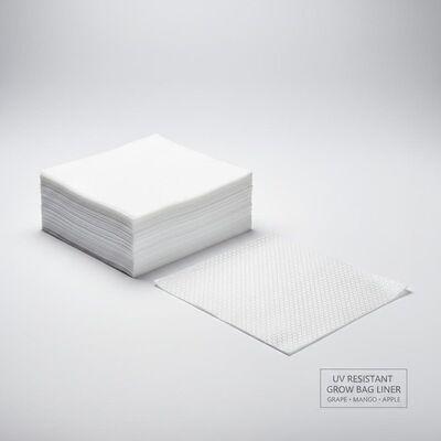 Wstrzymanie promieniowania UV Wzorowe Mango Jabłkowo-Rozwojowe Papier do opakowań Wnętrza