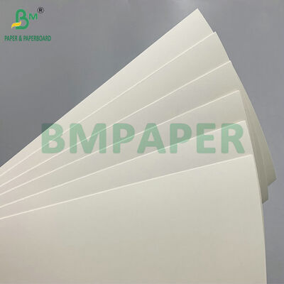 High Stiffness Food Grade C1S PE Coated 190gsm 210gsm Cup Paper Roll for Disposable Coffee Cups