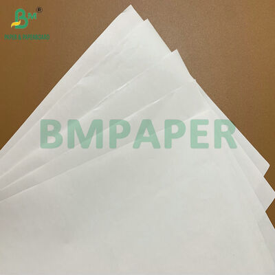 Wysoka wytrzymałość Premium bez BPA 48 gm 55 gm rolki papieru termicznego