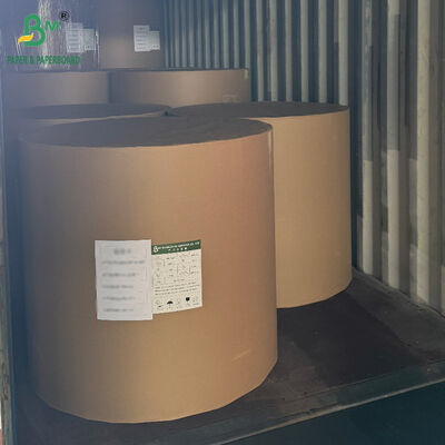 250 gm 300 gm 350 gm 400 gm CCNB Karton do zamrażarek
