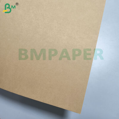 Niebielony PE powlekany kubek miska 250 gm papier Kraft