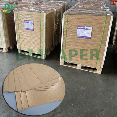 Niebielony PE powlekany kubek miska 250 gm papier Kraft