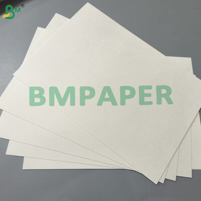 Papierowa miska na zupę o gramaturze 210–280 g/m², podwójnie powlekana PE, Tektura odporna na wycieki i tłuszcz