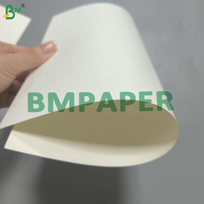 Single Sided Water Base Coated Cupstock Plastic Free 170-320g White