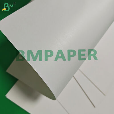 Papier typu cupstock powlekany jednostronnie, kompostowalny, 170 g/m² 190 g/m², na bazie wody, 650 mm