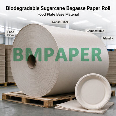 Rolka papieru z pulpy bagasowej biodegradowalnej 80g-300g do produkcji talerzy spożywczych