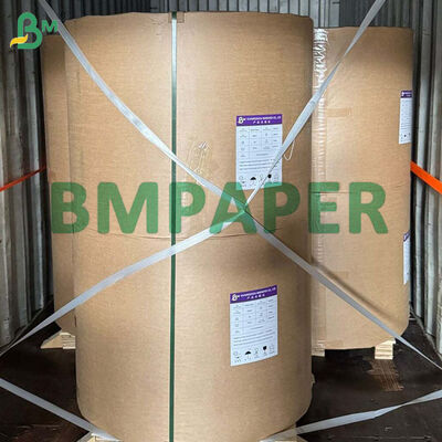Rolka papieru z pulpy bagasowej biodegradowalnej 80g-300g do produkcji talerzy spożywczych
