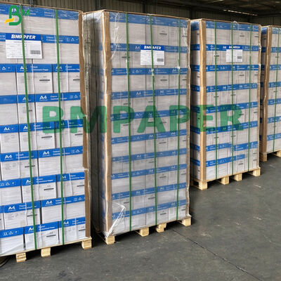 Pre - Collated Blank Sets For Custom Form Printing Clear Duplicate Copy Paper