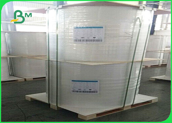 FSC Papier bezdrzewny, niepowlekany, bezdrzewny, do książki ćwiczeń 60g - 180g