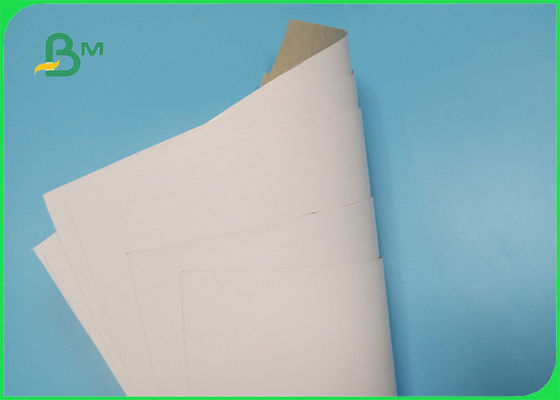 FSC Approved Coated Board Duplex 100% masy papierowej masy celulozowej 350g Couche White Back Gray Paper
