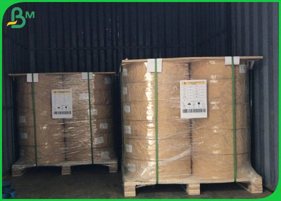 50 g / m2 - 300 g / m2 Papier powlekany PE FDA FSC Food Grade do pakowania żywności