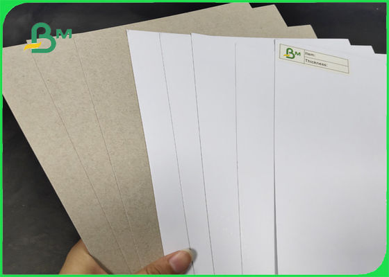 200 / 230gr C1S z szarą tylną klasą AA, szerokość 1250 mm z certyfikatem SGS i FSC