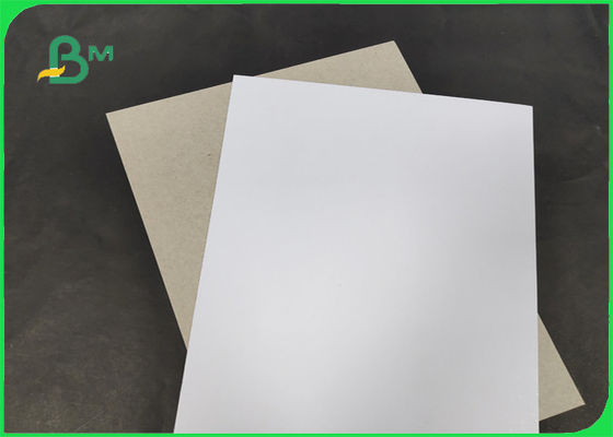 200 / 230gr C1S z szarą tylną klasą AA, szerokość 1250 mm z certyfikatem SGS i FSC