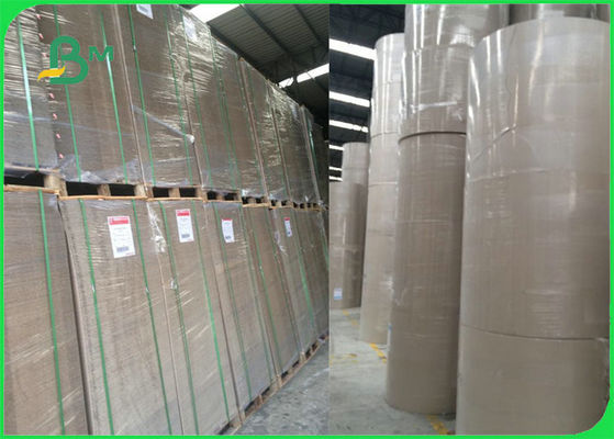 FSC Kartony do segregatorów w różnych kolorach do segregatora dźwigniowego