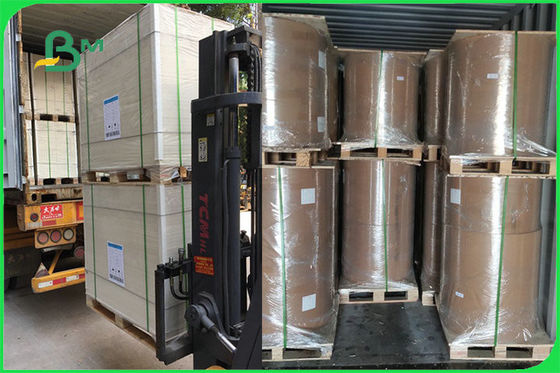 FSC FDA 300 g / m2 Ivory jednostronnie powlekany biały papier PE GC1 na papierową miskę