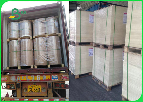 FDA FSC Bezpieczny dla żywności Odporny na ciepło papier do pieczenia do grillowania Grillowanie