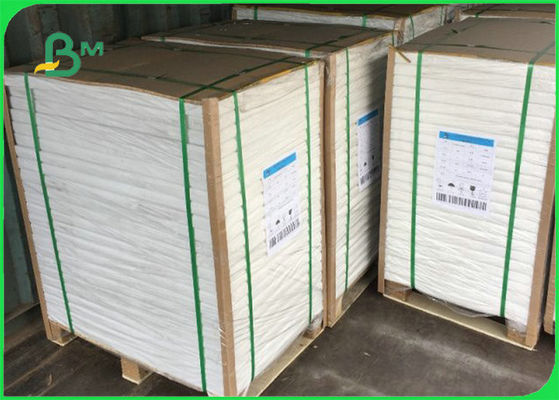 FSC C1S Ivory Board Poly Coated Paper 300gsm + 15g PE 70 X 100cm Do robienia kubków