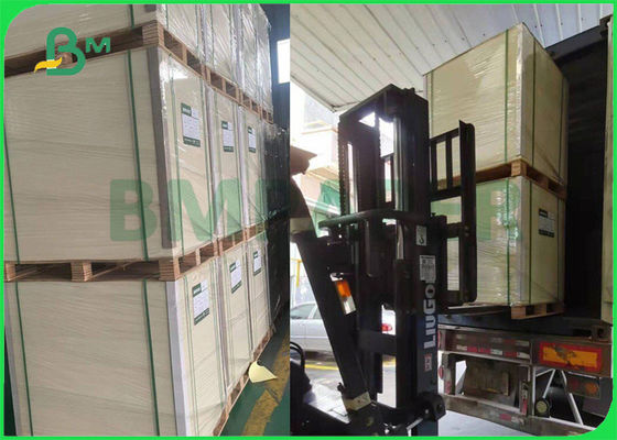 295gsm 325gsm C1S FBB Food Board na herbatniki Dobra sztywność 25 '' x 37'