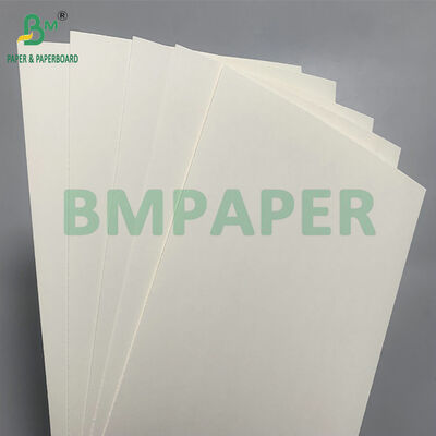 Biodegradowalny i bezpieczny w mikrofalówce karton do tworzenia jednorazowych misek do sałatki