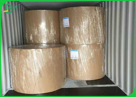 Ekologiczny materiał 300G Papier powlekany PE do wyrobu pudełka na lunch
